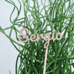 Imagen siguiente del producto